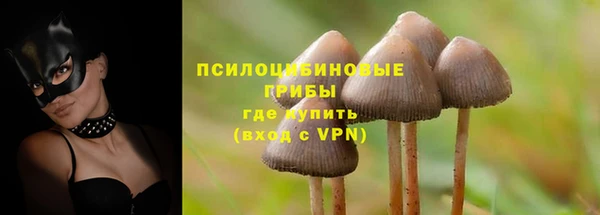 мет Арсеньев