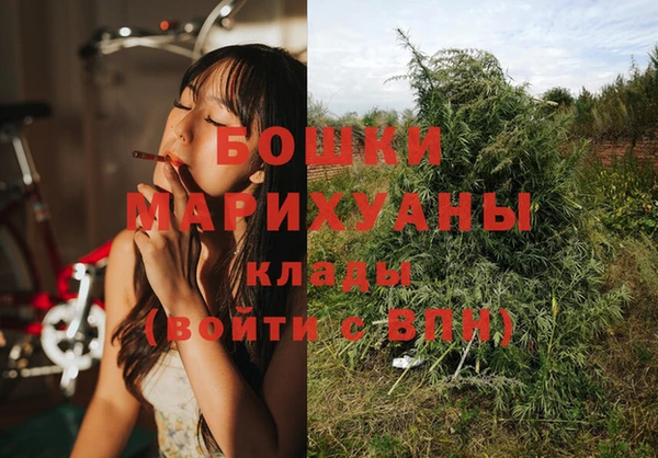 мет Арсеньев